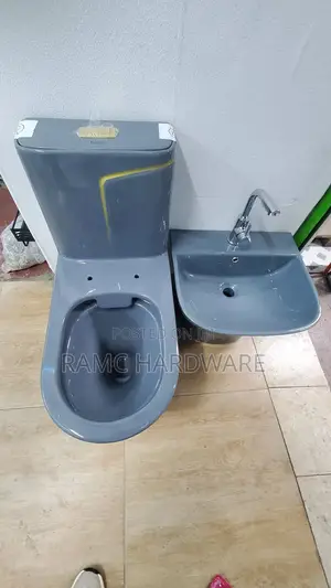 Toilet Grey