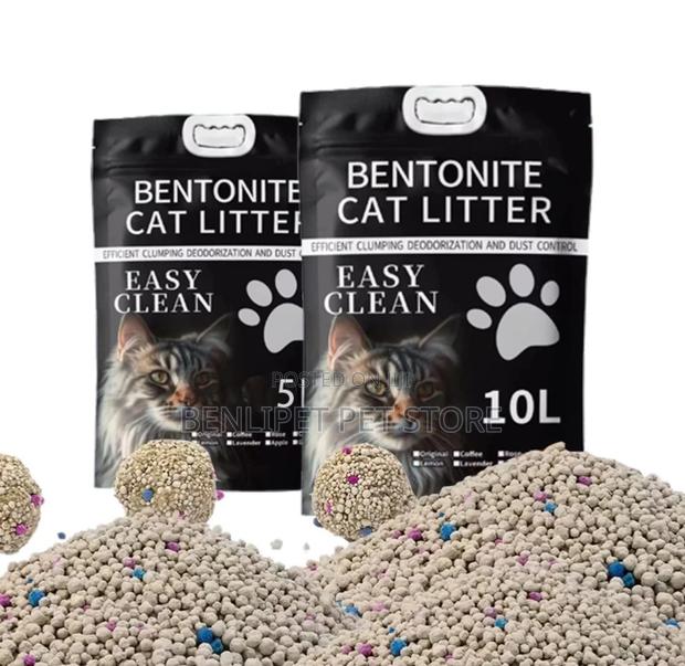 Easy Clean Unscented Bentonite Cat Litter-10l - main view