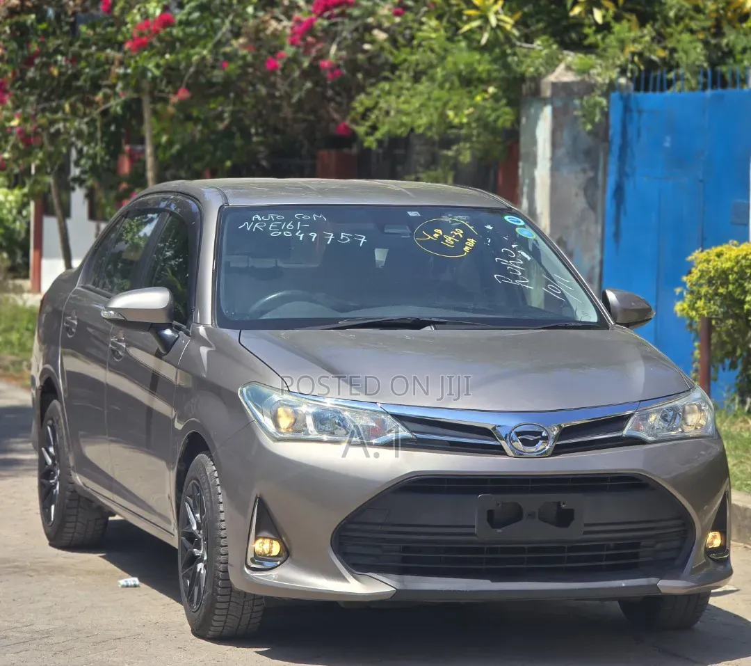 Toyota Axio 1.5 G 2WD 2019 Gold