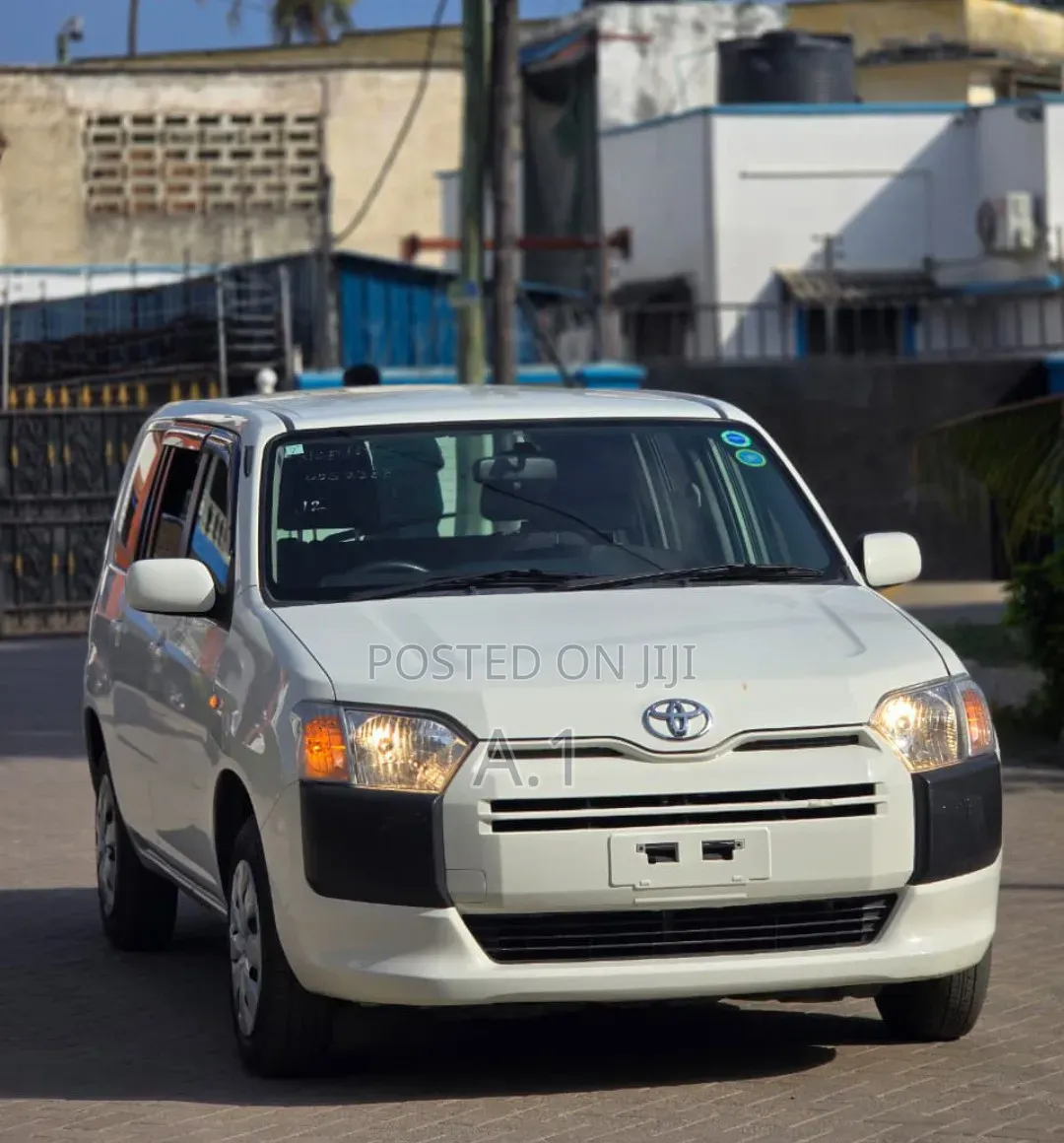 Toyota Succeed 2019 Pearl