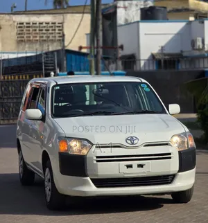 Toyota Succeed 2019 Pearl