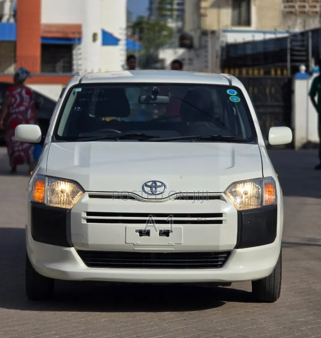 Toyota Succeed 2019 Pearl