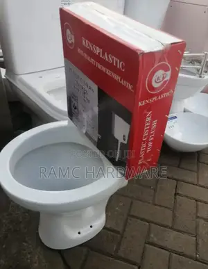 Ordinary Toilet With Plastic Cistern