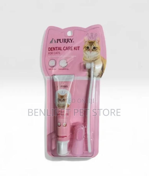 Milk Flavoured Cat Toothpaste Toothbrush Set, No Rinse
