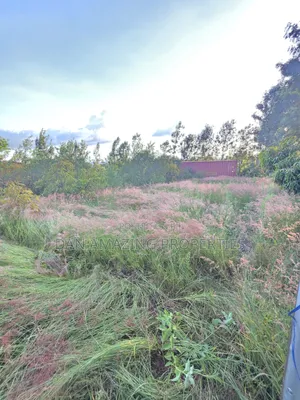 50by100 Redsoil Plot in Ngong Kibiku for Sale With Mature Fruit Trees