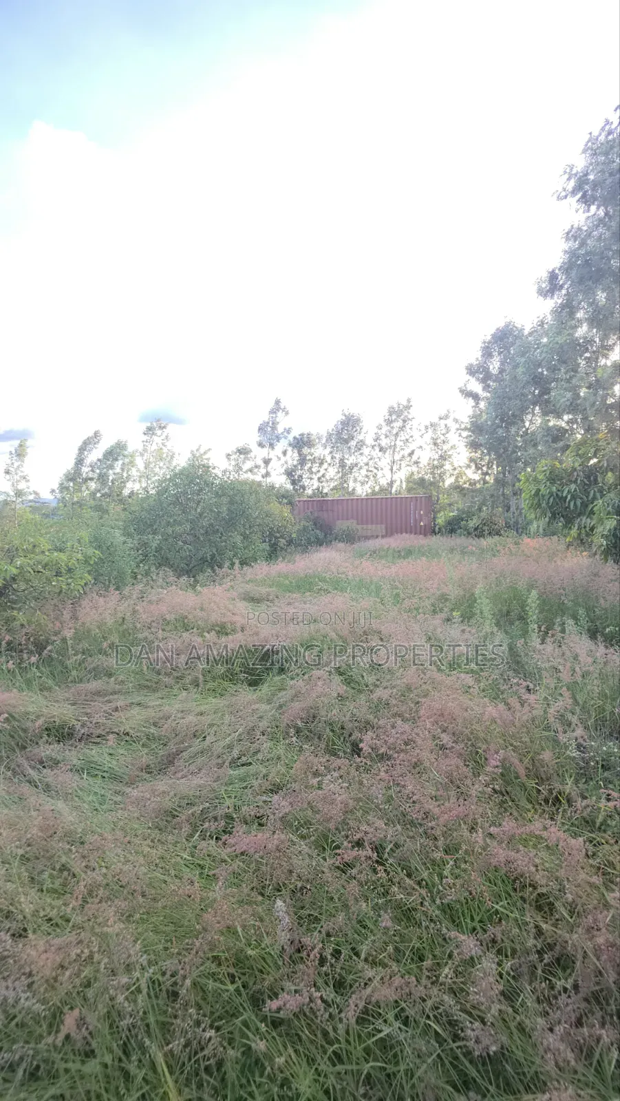 50by100 Redsoil Plot in Ngong Kibiku for Sale With Mature Fruit Trees