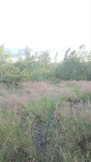 50by100 Redsoil Plot in Ngong Kibiku for Sale With Mature Fruit Trees