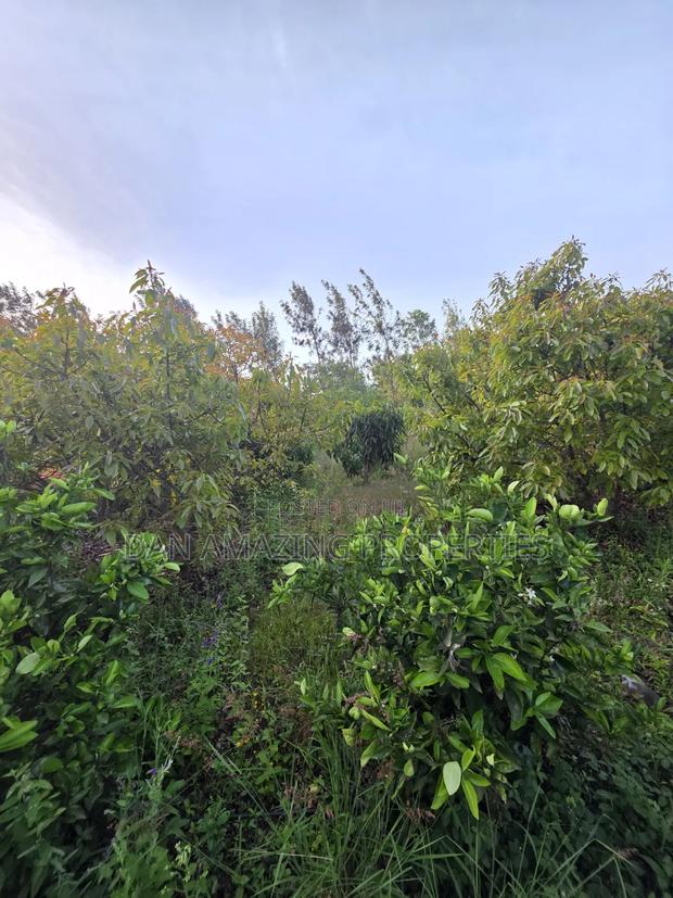 50by100 Redsoil Plot in Ngong Kibiku for Sale With Mature Fruit Trees