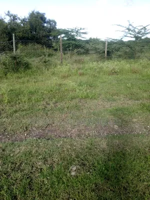 Available 20 Acres Land for Sale in Laikipia Rimuruti