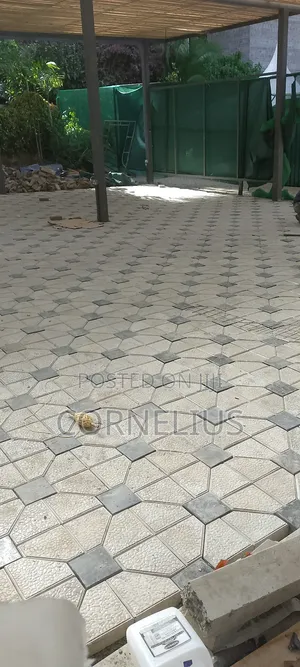 Cabro Installation and Polishing (Smart Perking Area)