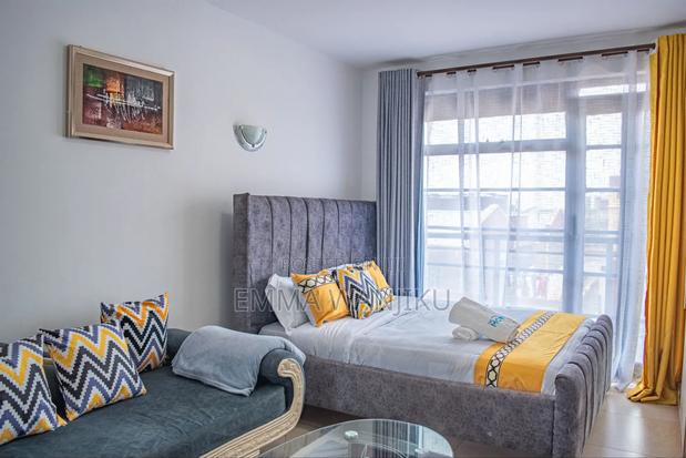 Studio Available to Let in Ruaka With a Super Host. - thumbnail 10