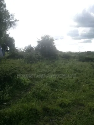 Available 8 Acres Land for Sale in Kajiado County