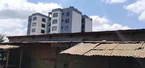 Smart Wall Textured Paint