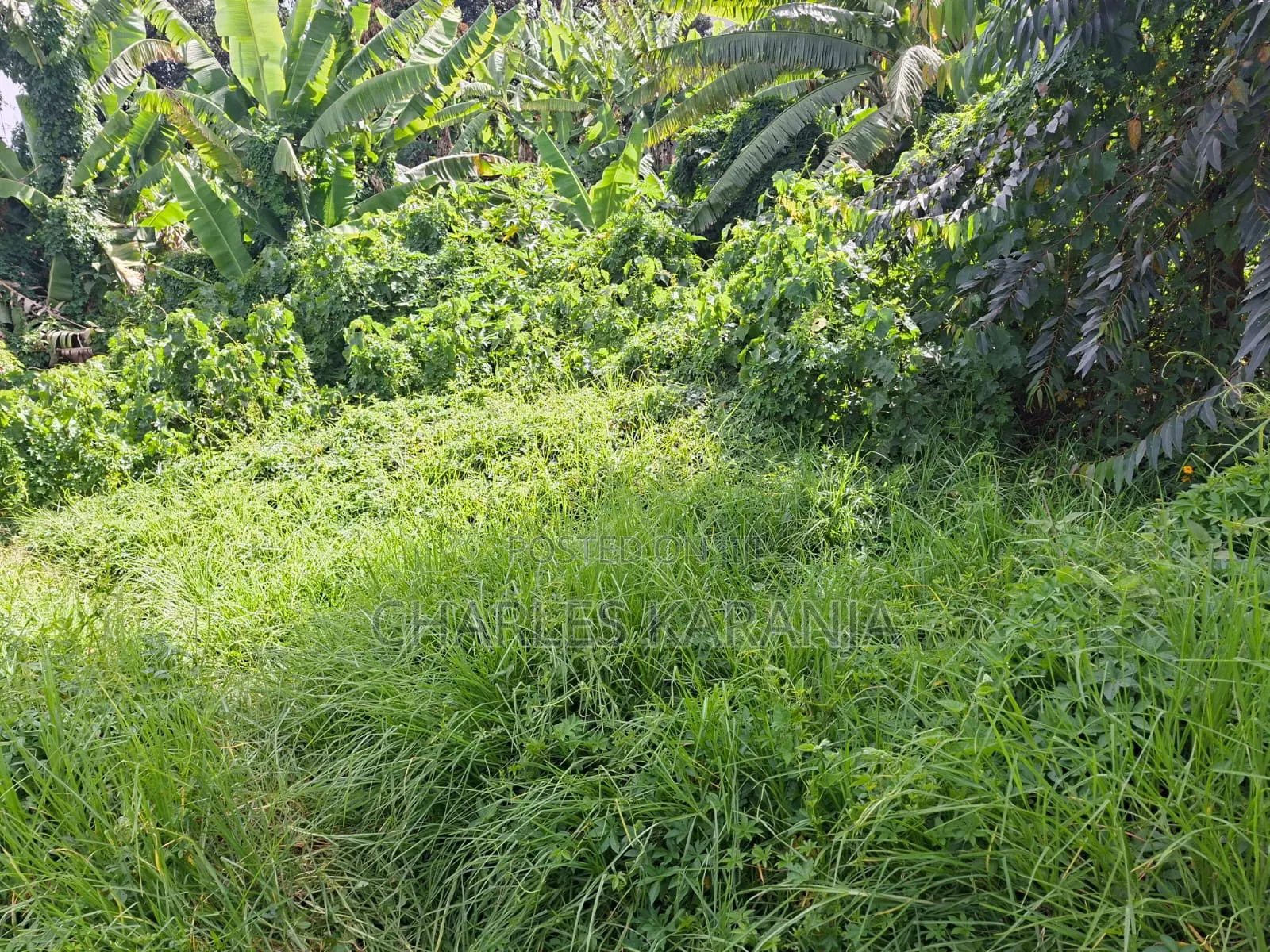 Land for Sale