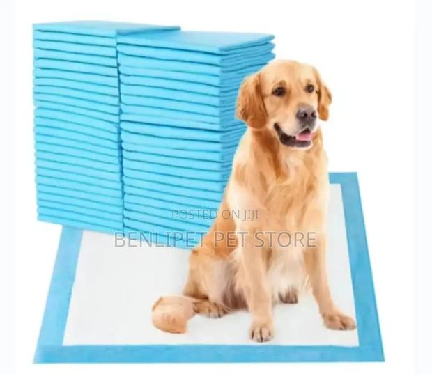 Super Absorbent Disposable Dog Potty Training Pee Pads - 10pcs