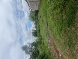 Prime 100*80 Land for Sale in Ruaka (Gacharage)