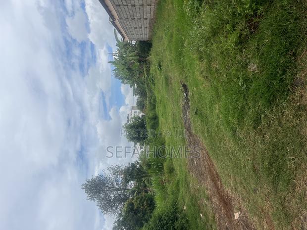 Land for Sale - thumbnail 3