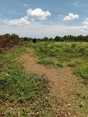 Siaya Bondo Plots/ Land Plots for Sale