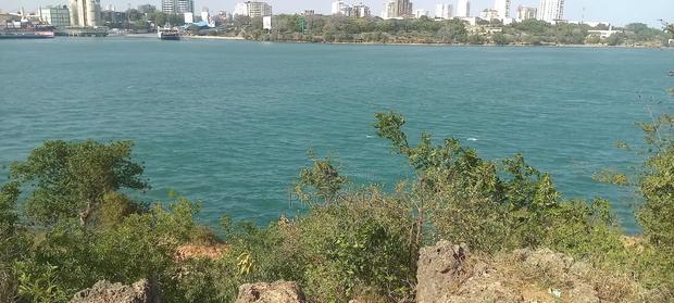 Very Prime 100acres Land In Lamu/ Beachfront - thumbnail 3
