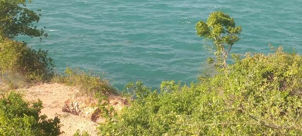 Very Prime 100acres Land In Lamu/ Beachfront - thumbnail 4