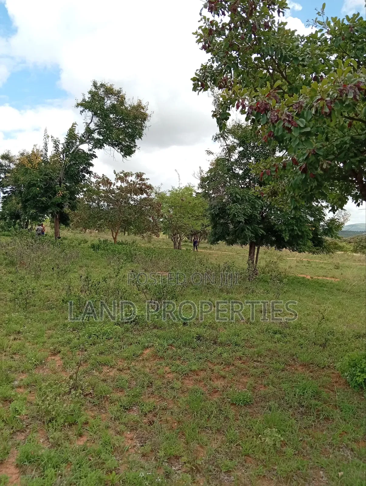 Cheap Plots for Sale in Matuu