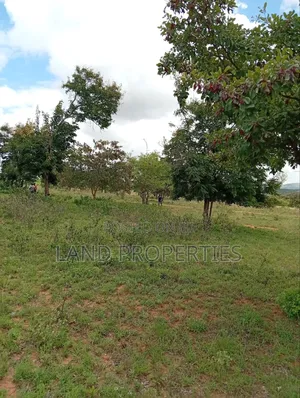 Cheap Plots for Sale in Matuu