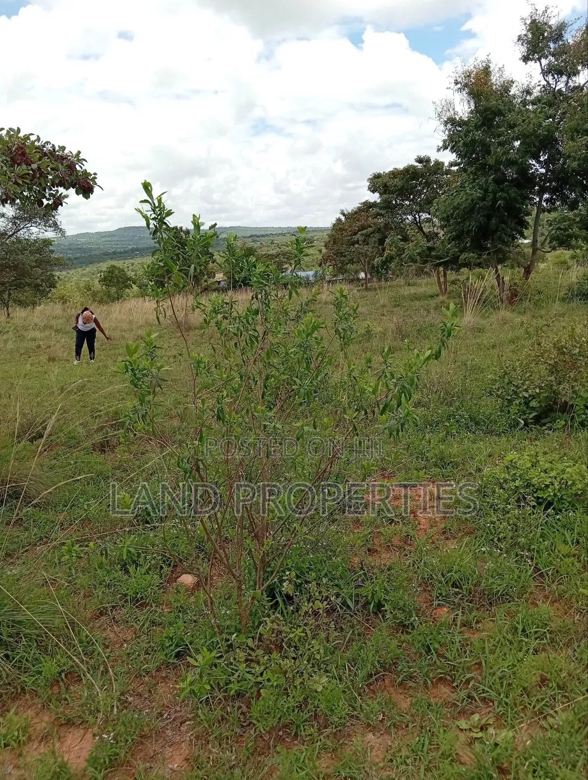 Cheap Plots for Sale in Matuu