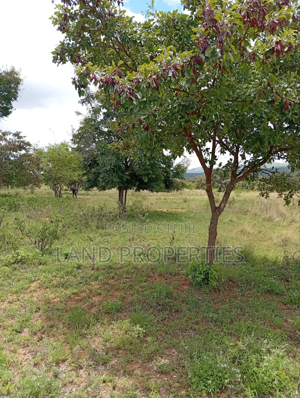 Cheap Plots for Sale in Matuu