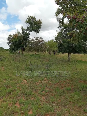 Budget-Friendly Plots for Sale in Matuu