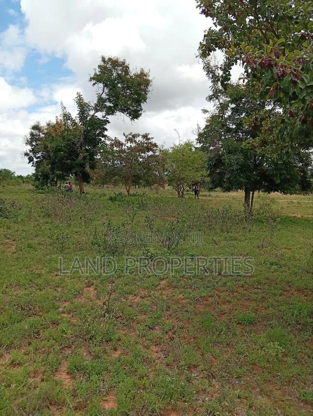 Budget-Friendly Plots for Sale in Matuu