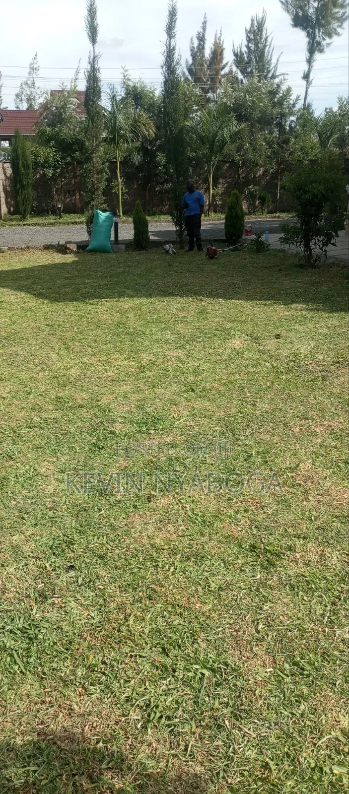 Grass Trimming