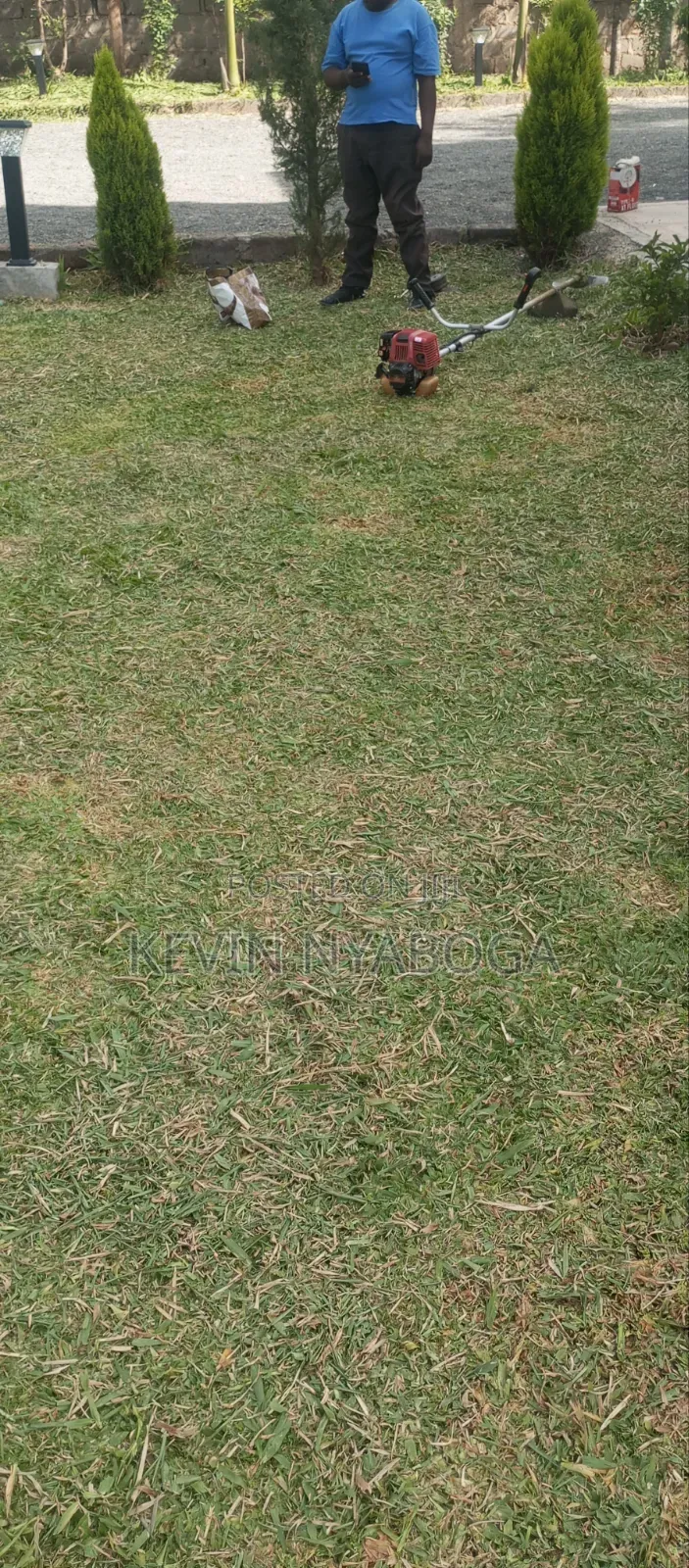 Grass Trimming