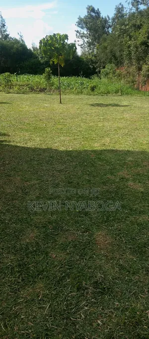 Grass Trimming