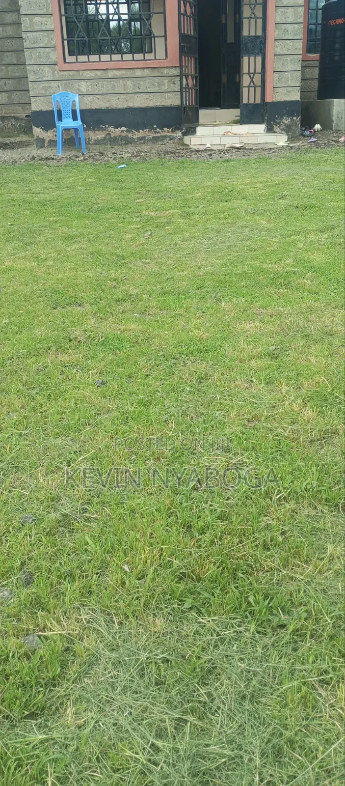 Grass Trimming