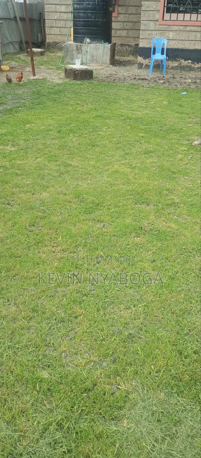 Grass Trimming