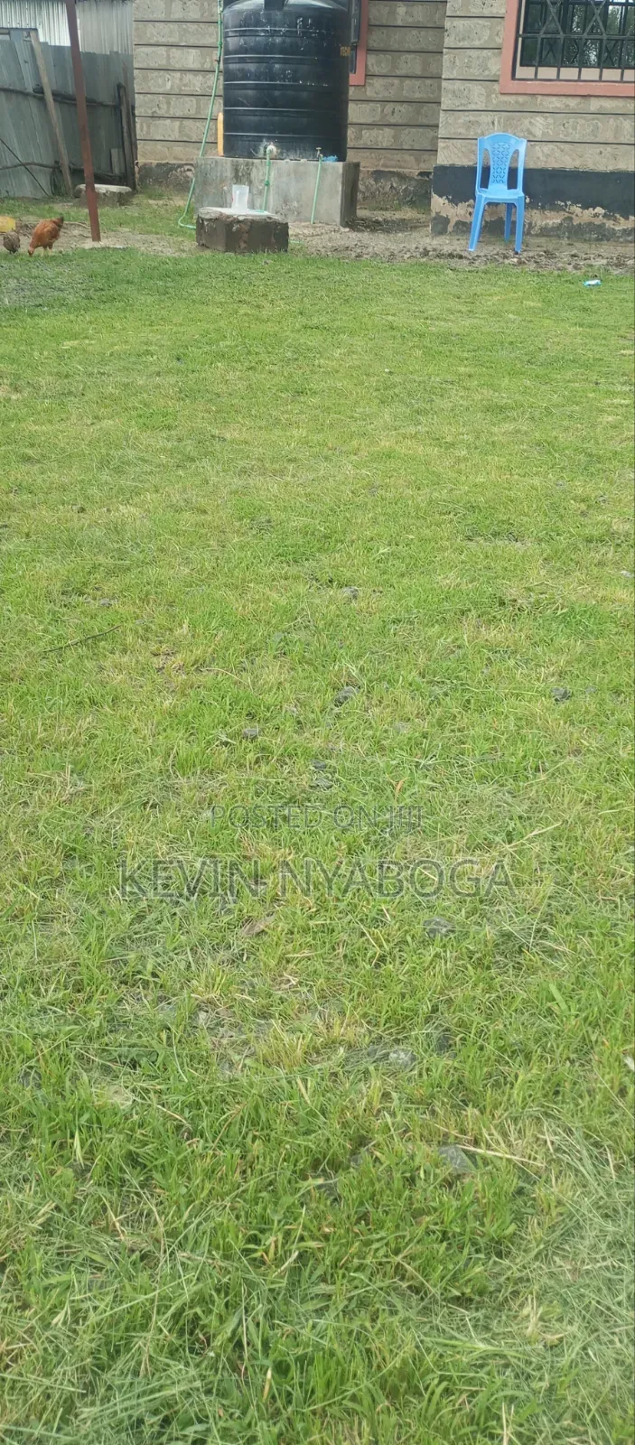 Grass Trimming