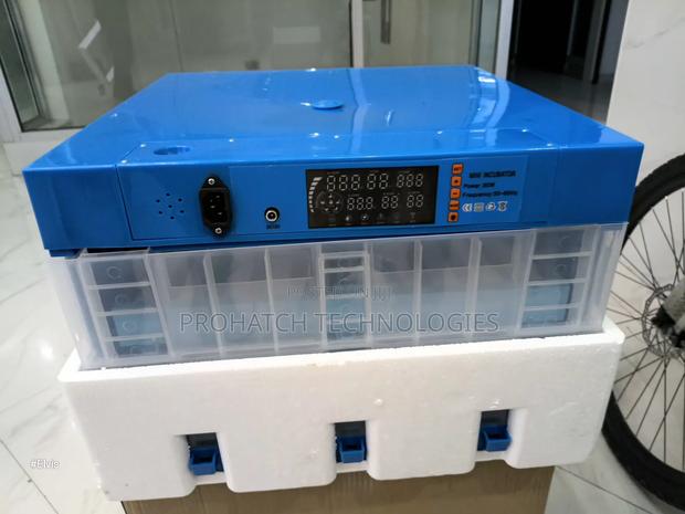 128 Ac Dc Egg Incubator