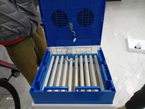 128 Ac Dc Egg Incubator