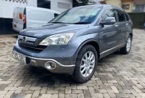 Honda CR-V 2010 Gray