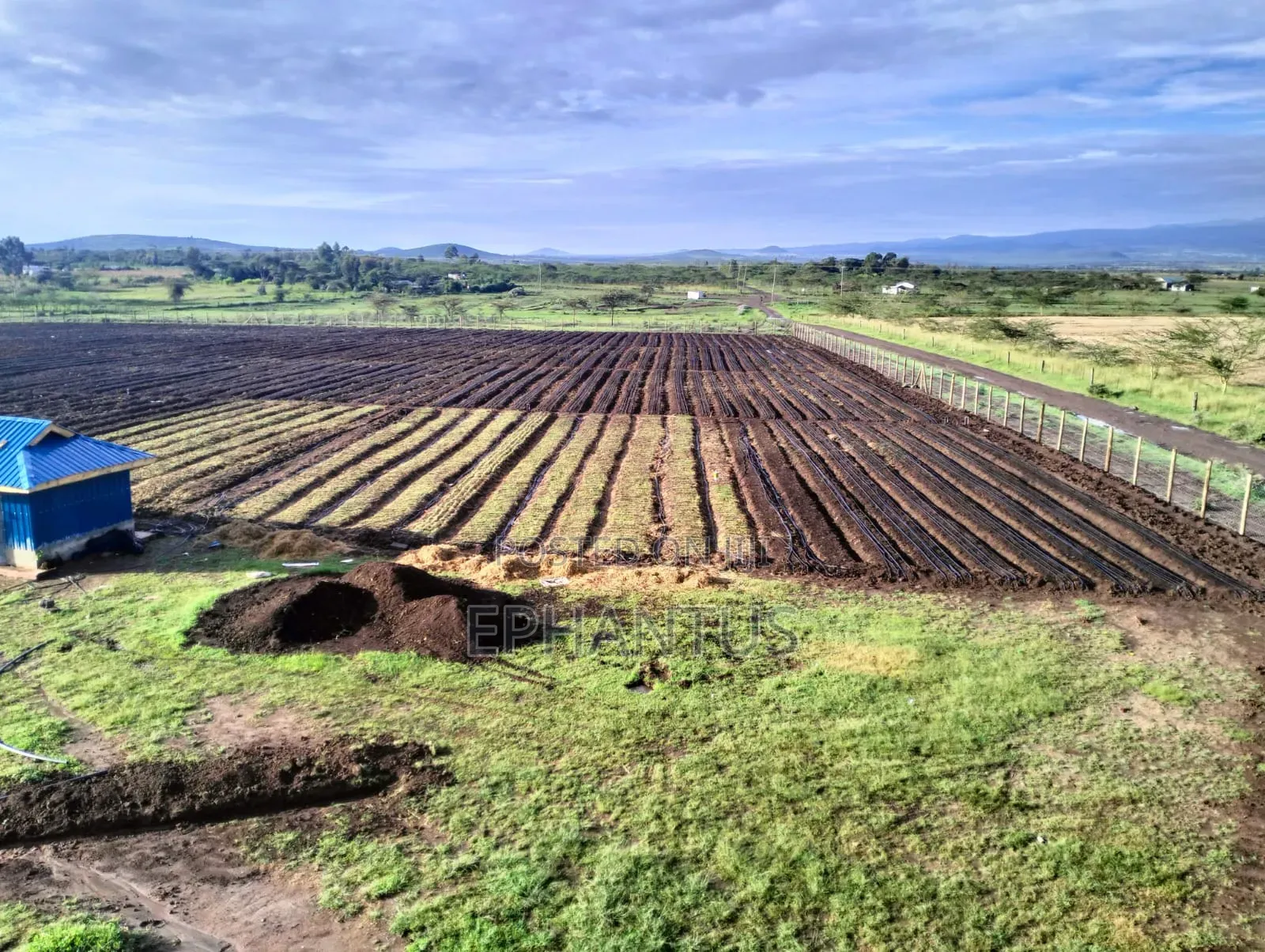 A Developed Farm for Sale