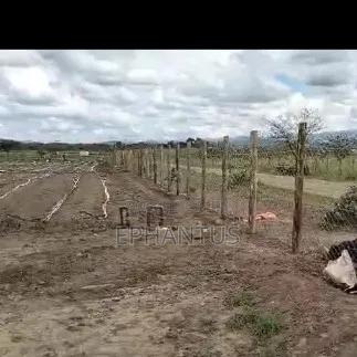 A Developed Farm for Sale - thumbnail 6