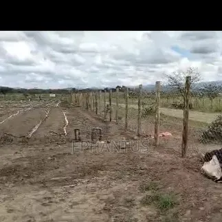A Developed Farm for Sale