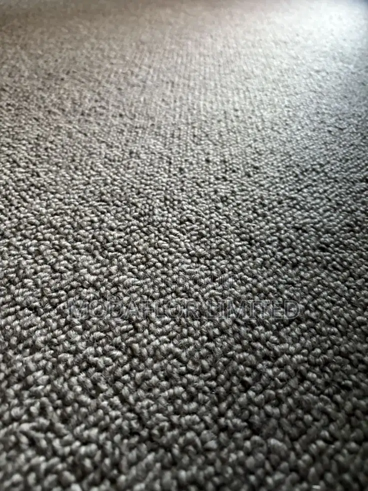 Delta Wall to Wall Carpet for Modern and Comfortable Indoor Use