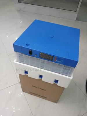 64 Eggs Incubator