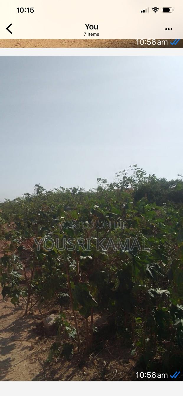 Land and Plot for Sell