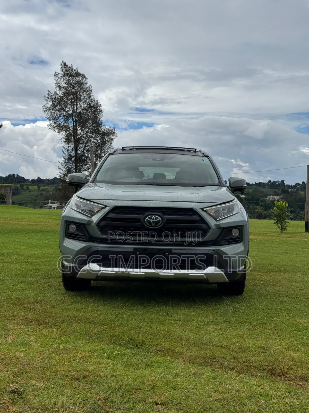 Toyota RAV4 Adventure 2019 Green