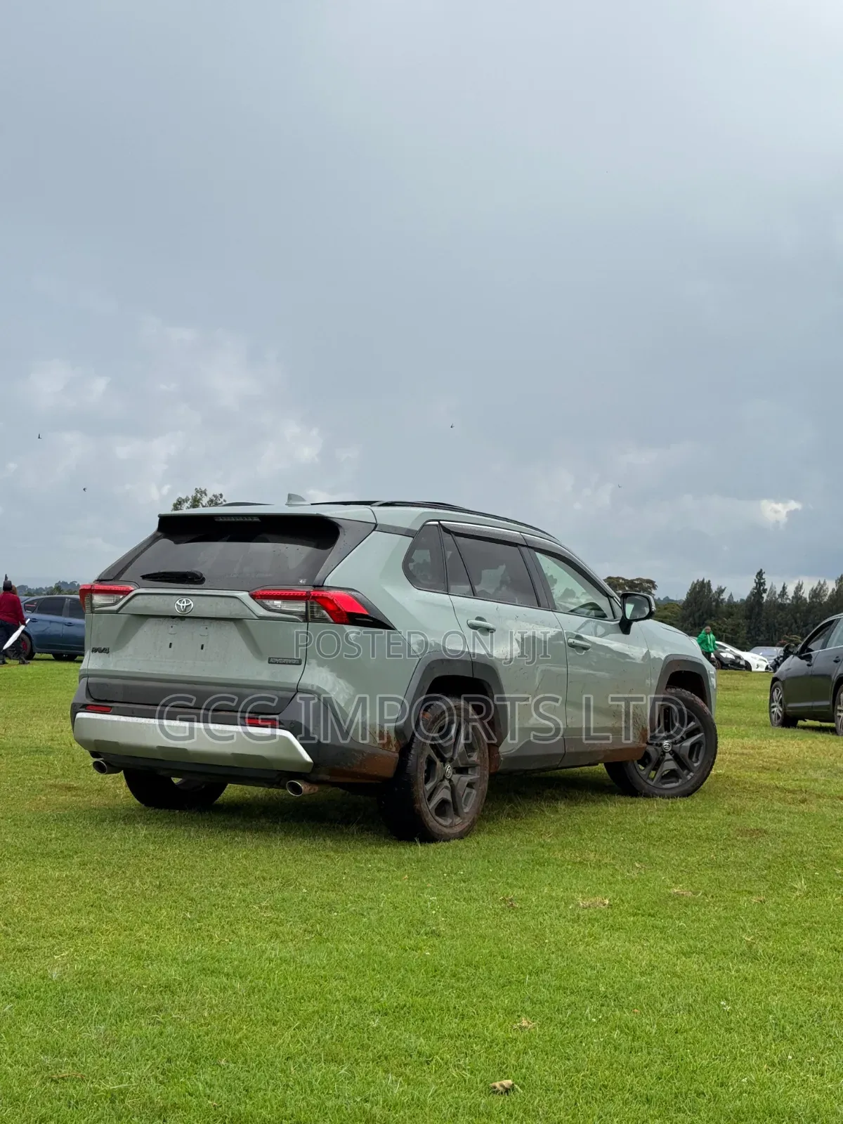 Toyota RAV4 Adventure 2019 Green