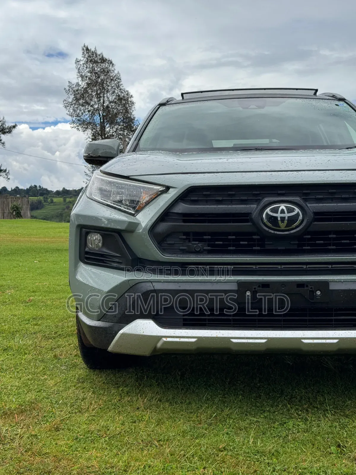 Toyota RAV4 Adventure 2019 Green