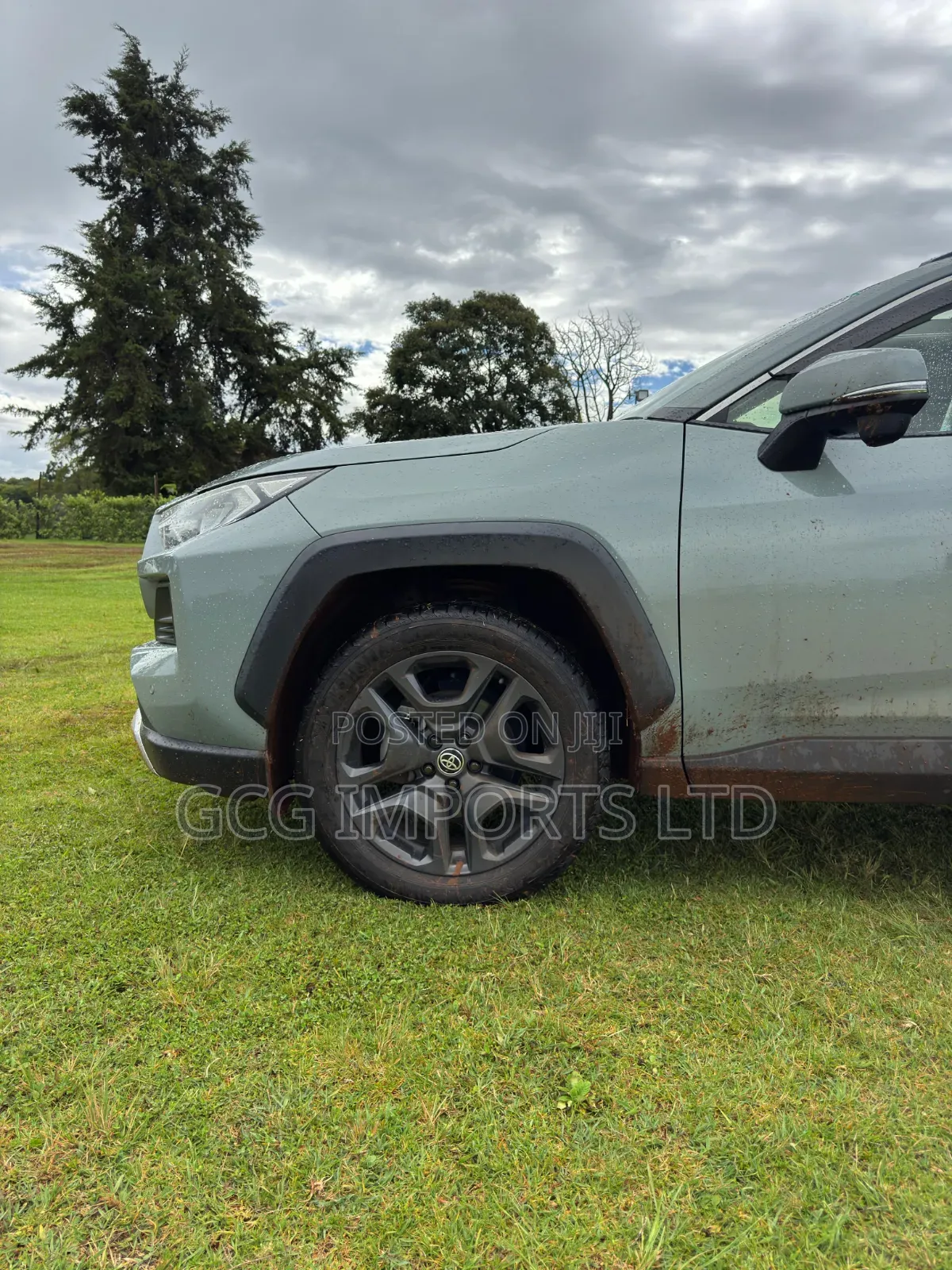 Toyota RAV4 Adventure 2019 Green