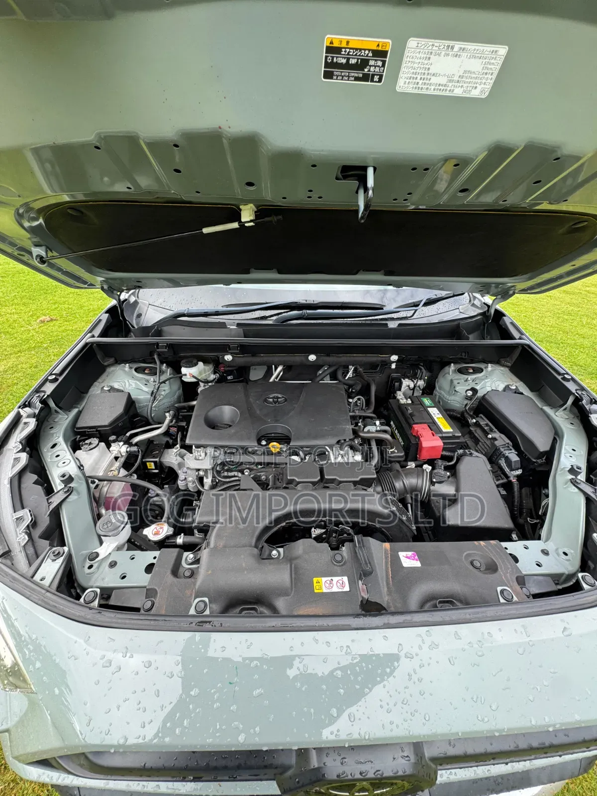 Toyota RAV4 Adventure 2019 Green